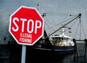 Dinas Perikanan dan Polres Tubaba Akan Tindaklanjuti Beredarnya Video Ilegal Fishing di Tubaba