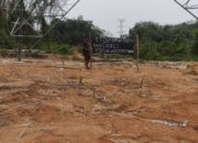Pembangunan SUTET di Tiyuh Penumangan Terancam di Stop Akibat Belum Ada Kompensasi