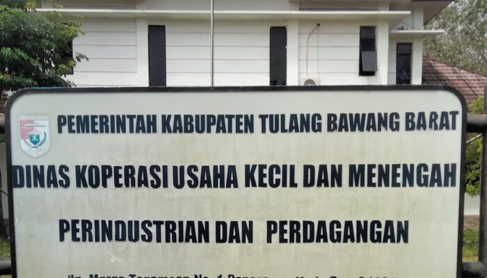 Kepala Diskoperindag Tubaba dan Kepala UPTD di Tiga Pasar Kelurahan Tubaba Terindikasi Langgar UU KIP