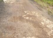 Bukan Hanya Tahun 2025, Pembangunan Jalan Lapen Tiyuh Margo Mulya Tahun 2024 Menjadi Sorotan