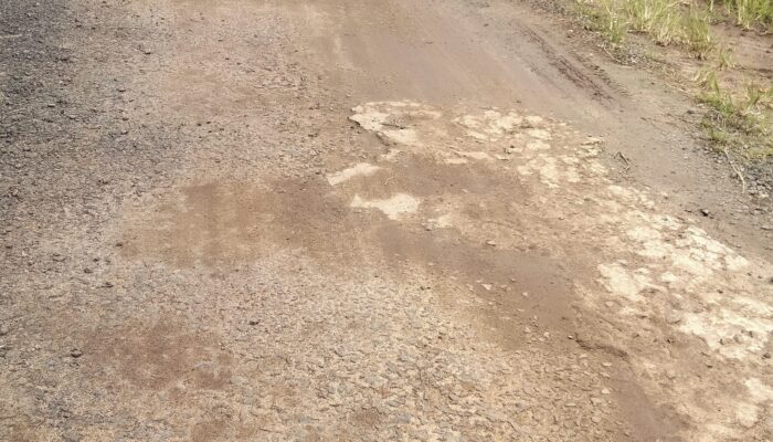 Bukan Hanya Tahun 2025, Pembangunan Jalan Lapen Tiyuh Margo Mulya Tahun 2024 Menjadi Sorotan