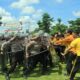 Polres Tubaba Tingkatkan Kemampuan dan Keterampilan Gelar Latihan Dalmas, Kesiapan Hadapi May Day 2026